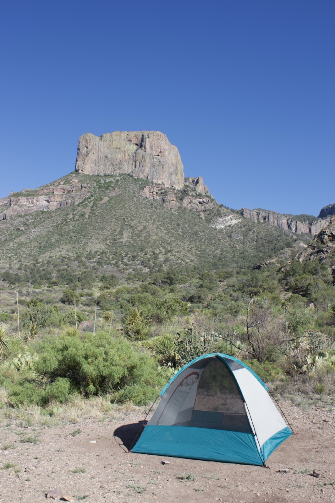 Camping Tent Under El Capitan