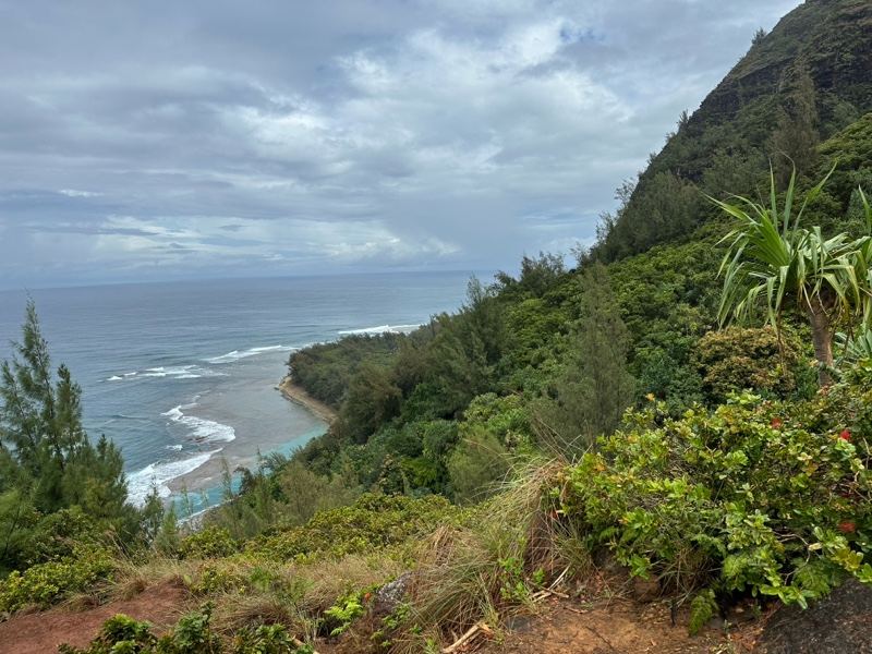 Coastal Cliff Overlooking Ocean