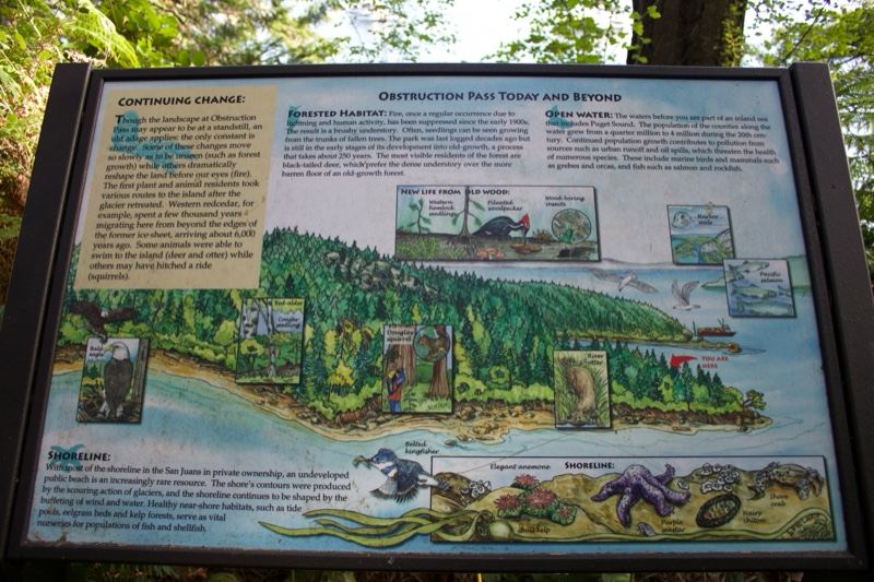 Interpretive sign about Destruction Bay erosion