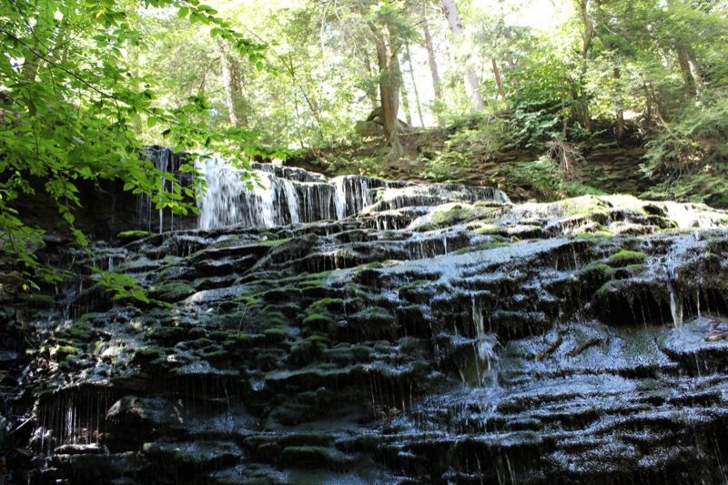 Mossy Waterfall in Sunlit Forest