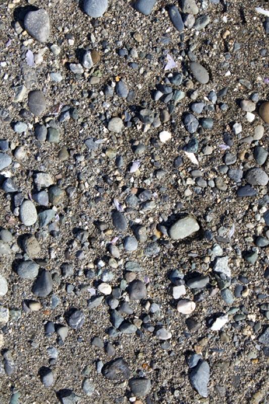 Pebble Beach Shoreline Texture