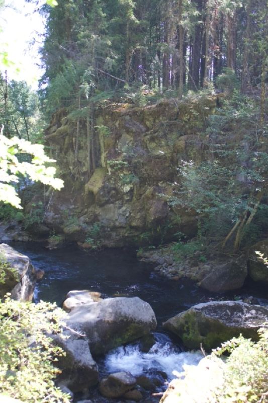 Forest River Rapids With Rocky Cliffs