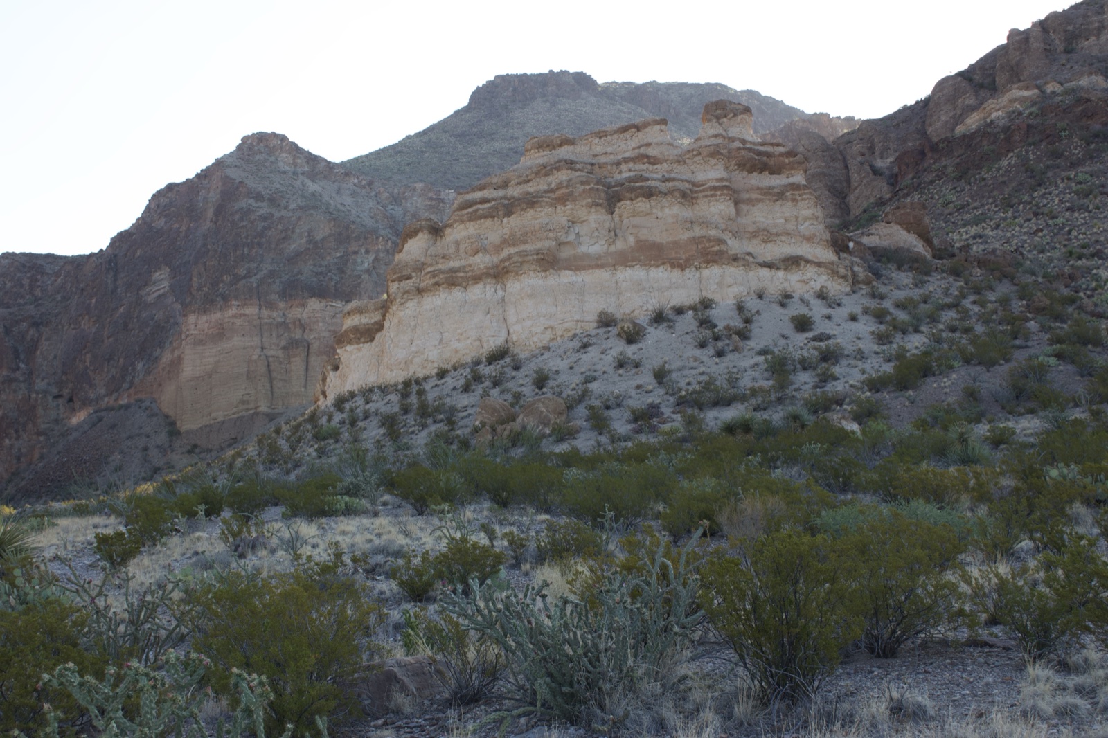 Desert Butte and Mountains Landscape