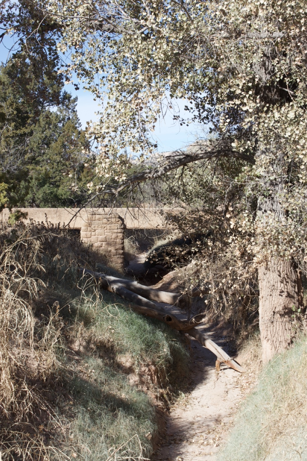 Untitled 972df9436ae1