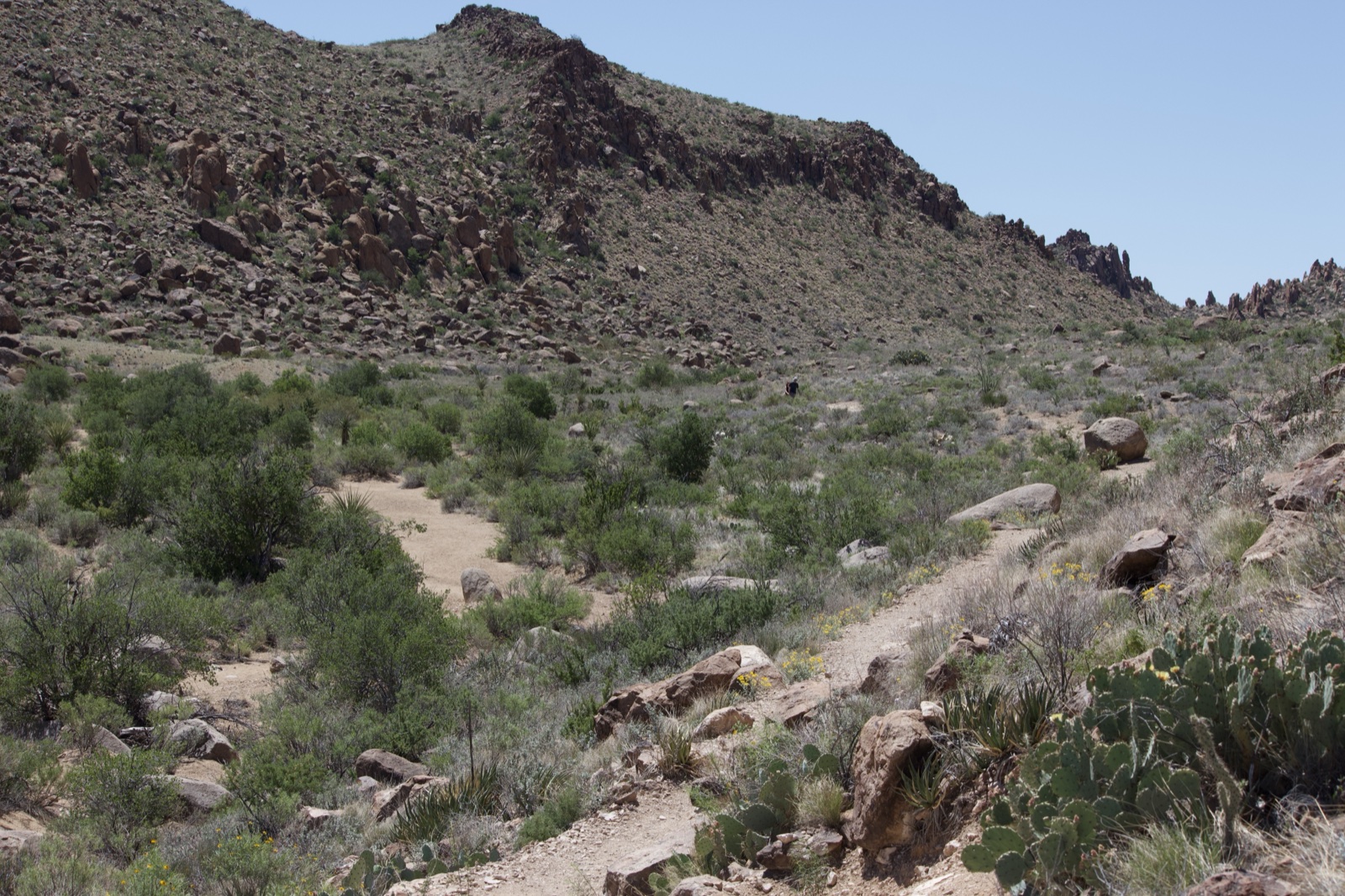 Desert Trail Under Rocky Hills