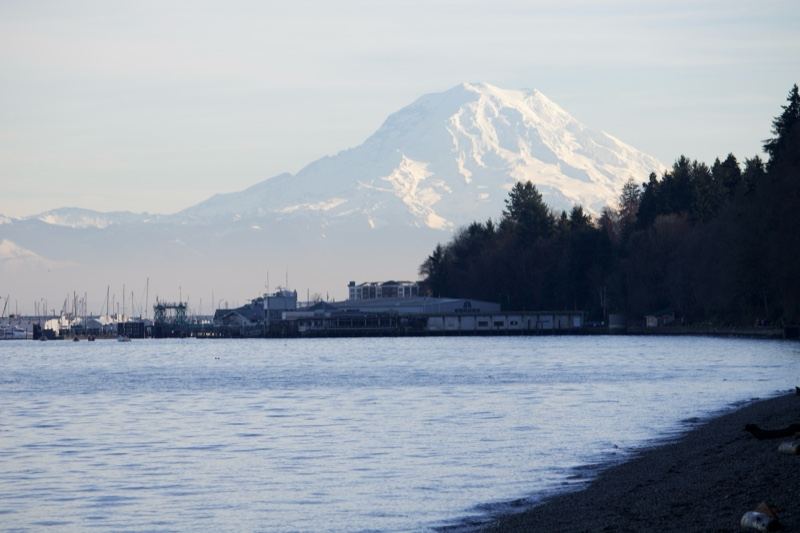 Mount Rainier over Puget Sound shoreline