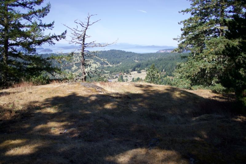 Sunlit Ridge Overlooking Forested Valley
