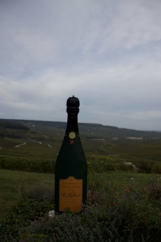 Giant Champagne Bottle Sculpture Landscape