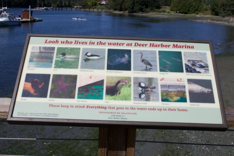 Informational Sign at Deer Harbor Marina