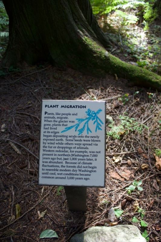 Plant Migration Sign in Forest