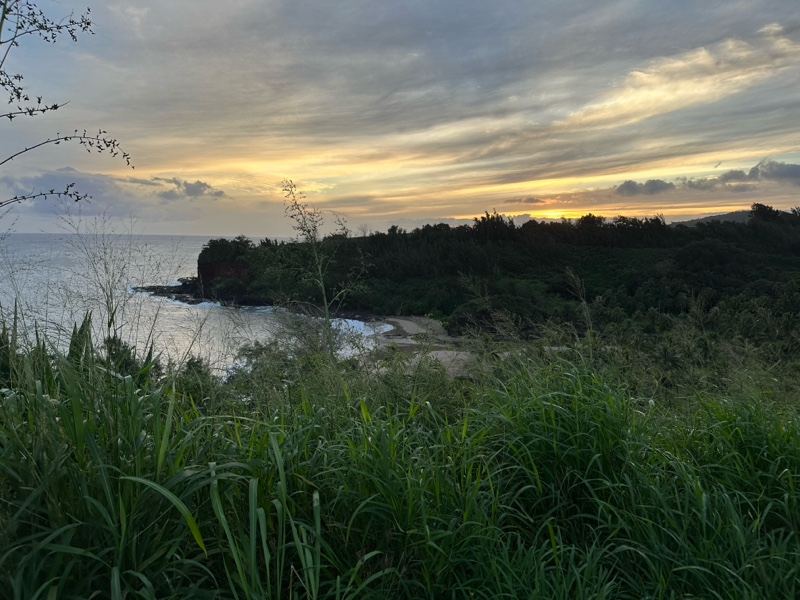 Coastal Sunset Over Grassy Cliff