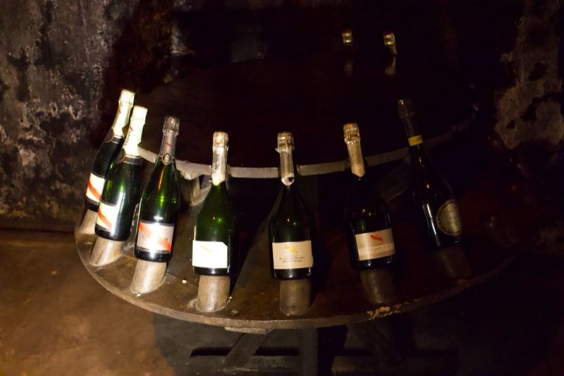 Champagne Bottles in Cellar Rack