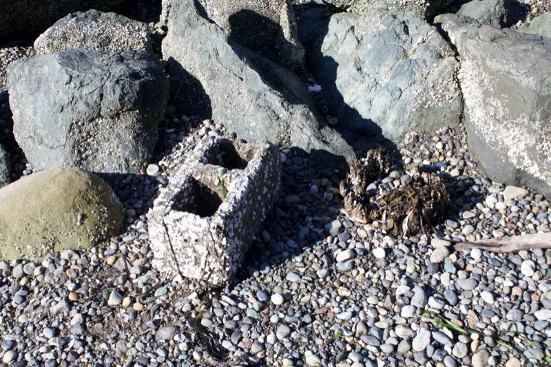 Pebble Beach with Concrete Block and Rocks