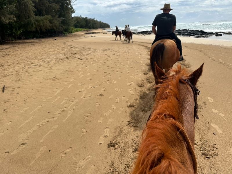 Horseback Ride on Tropical Beach