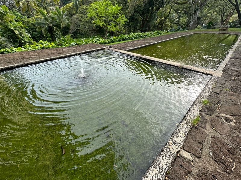 Rectangular Garden Ponds With Fountain