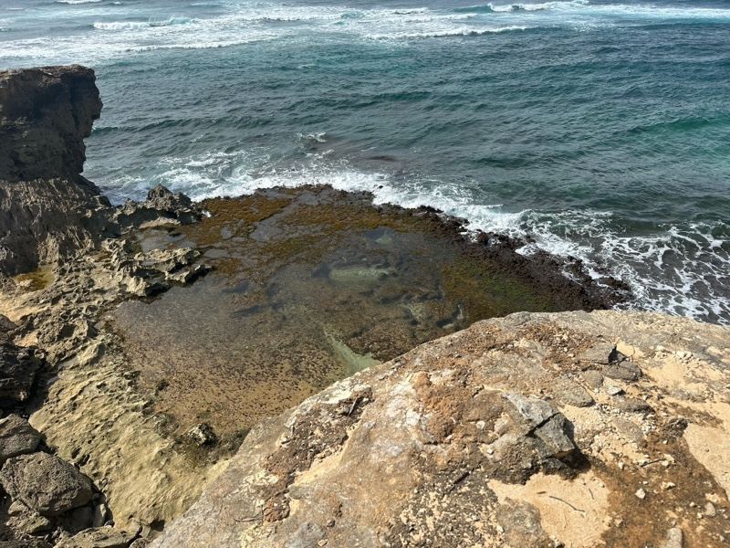 Rocky Coastline With Tide Pool