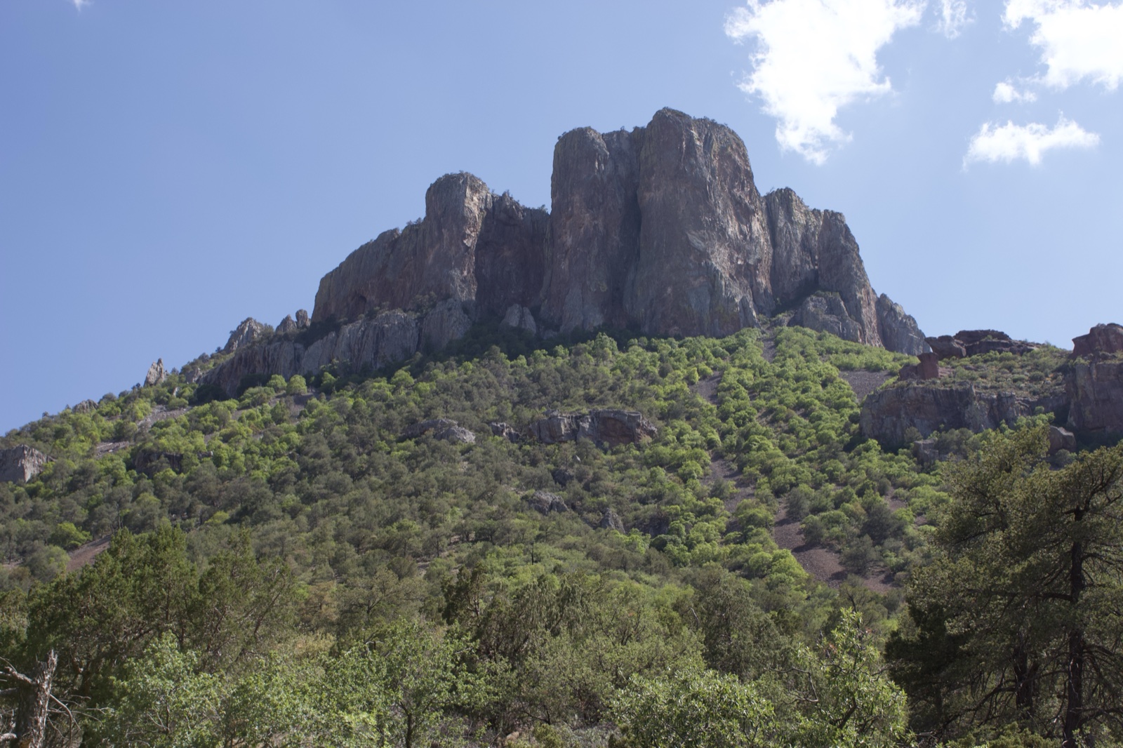 Rocky Mountain Peak Over Green Forest