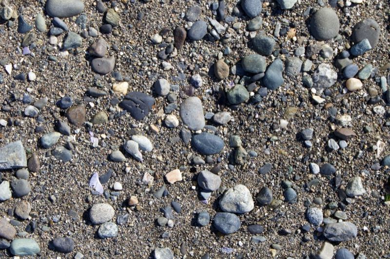 Close-up of gravel and pebbles on ground