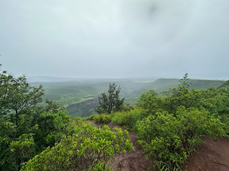 Misty Valley Overlook Through Foliage