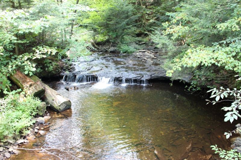 Forest Stream Small Waterfall