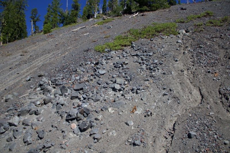 Rocky Slope With Sparse Vegetation