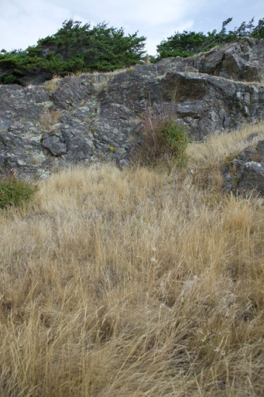 Rocky Hillside With Dry Grass