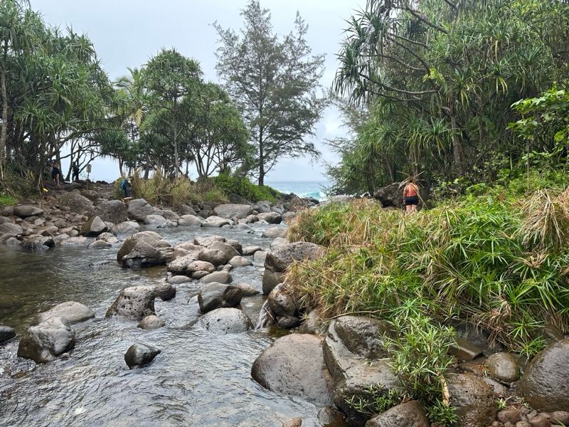Tropical River With Rocks And Lush Vegetation
