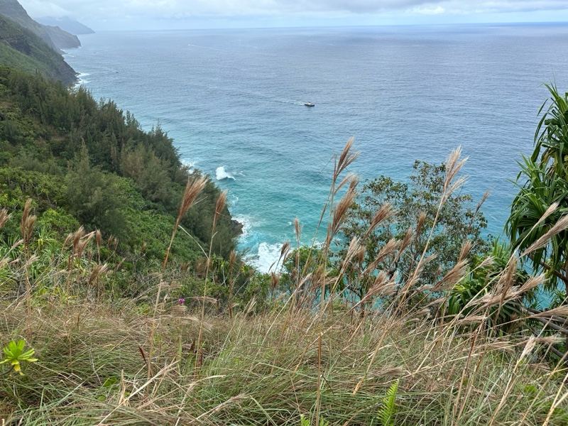Coastal Cliff Overlook Ocean View