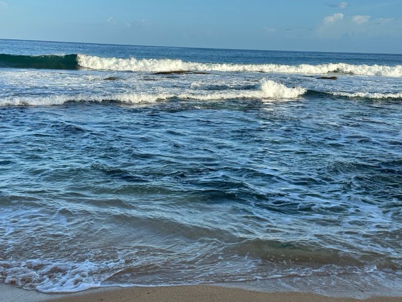 Ocean Waves Breaking Near Shore