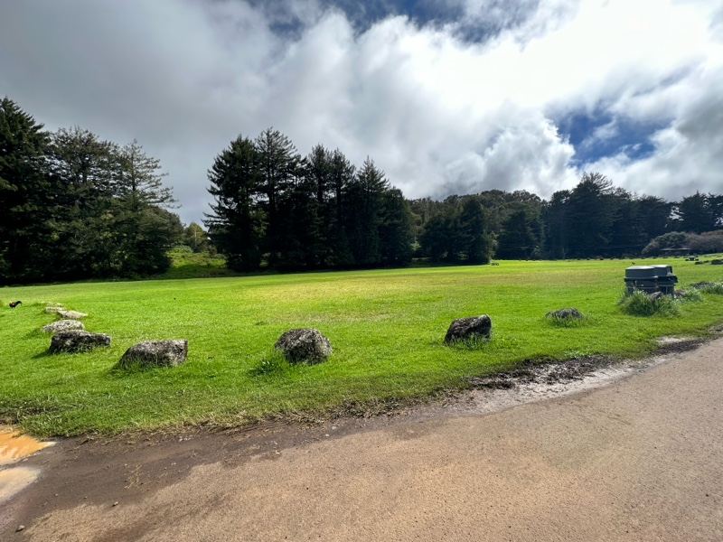 Grassy Field with Rocks and Trees Under Clouds