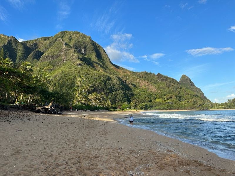 Tropical Beach With Lush Mountain