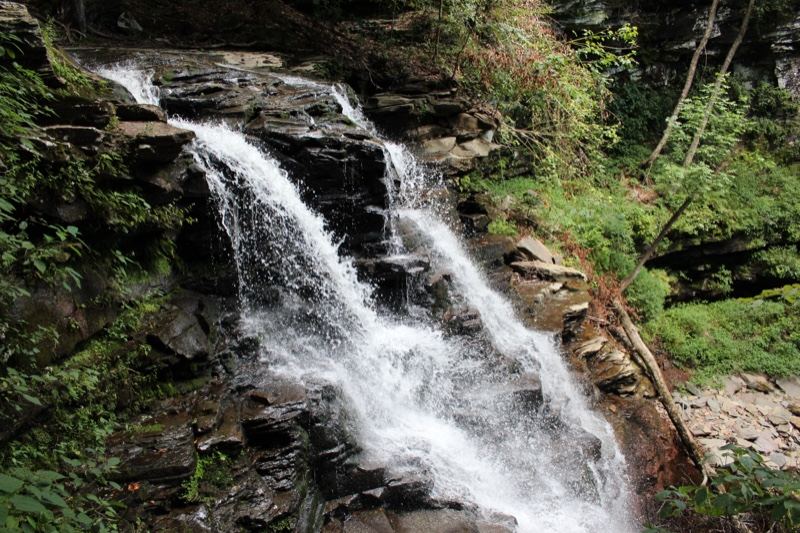 Forest Waterfall Cascading Over Rocks