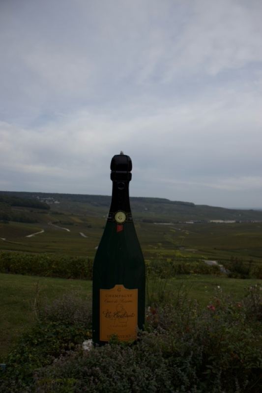 Giant Champagne Bottle Sculpture Landscape
