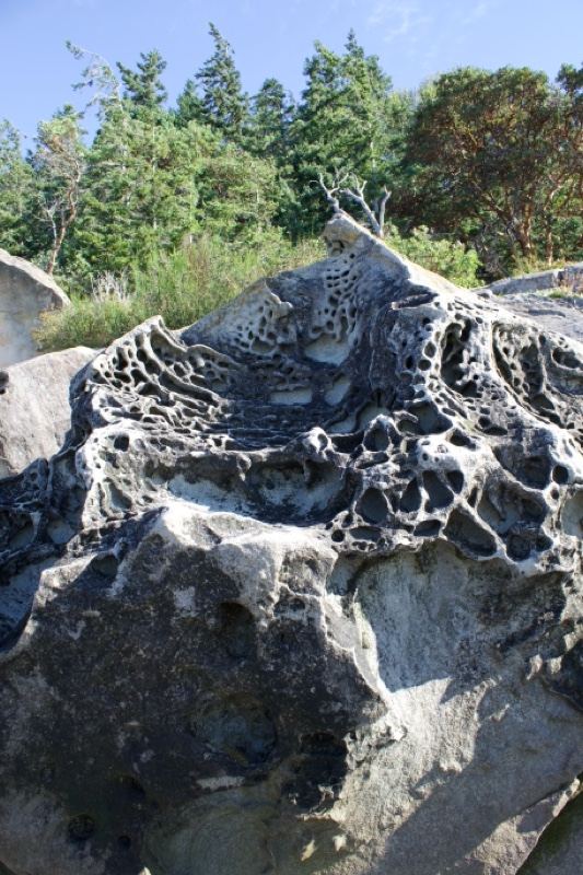 Weathered Rock Formation With Trees
