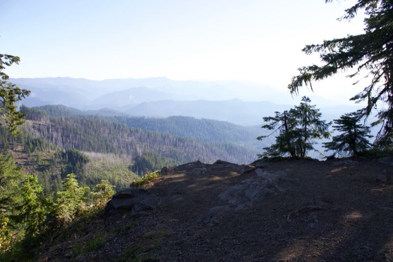 Mountain Overlook Forest Vista