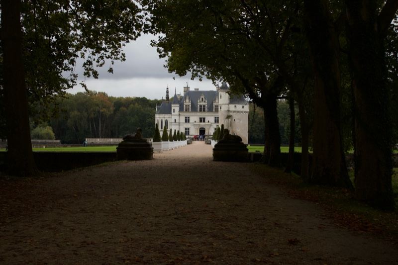 Chateau at end of tree-lined driveway
