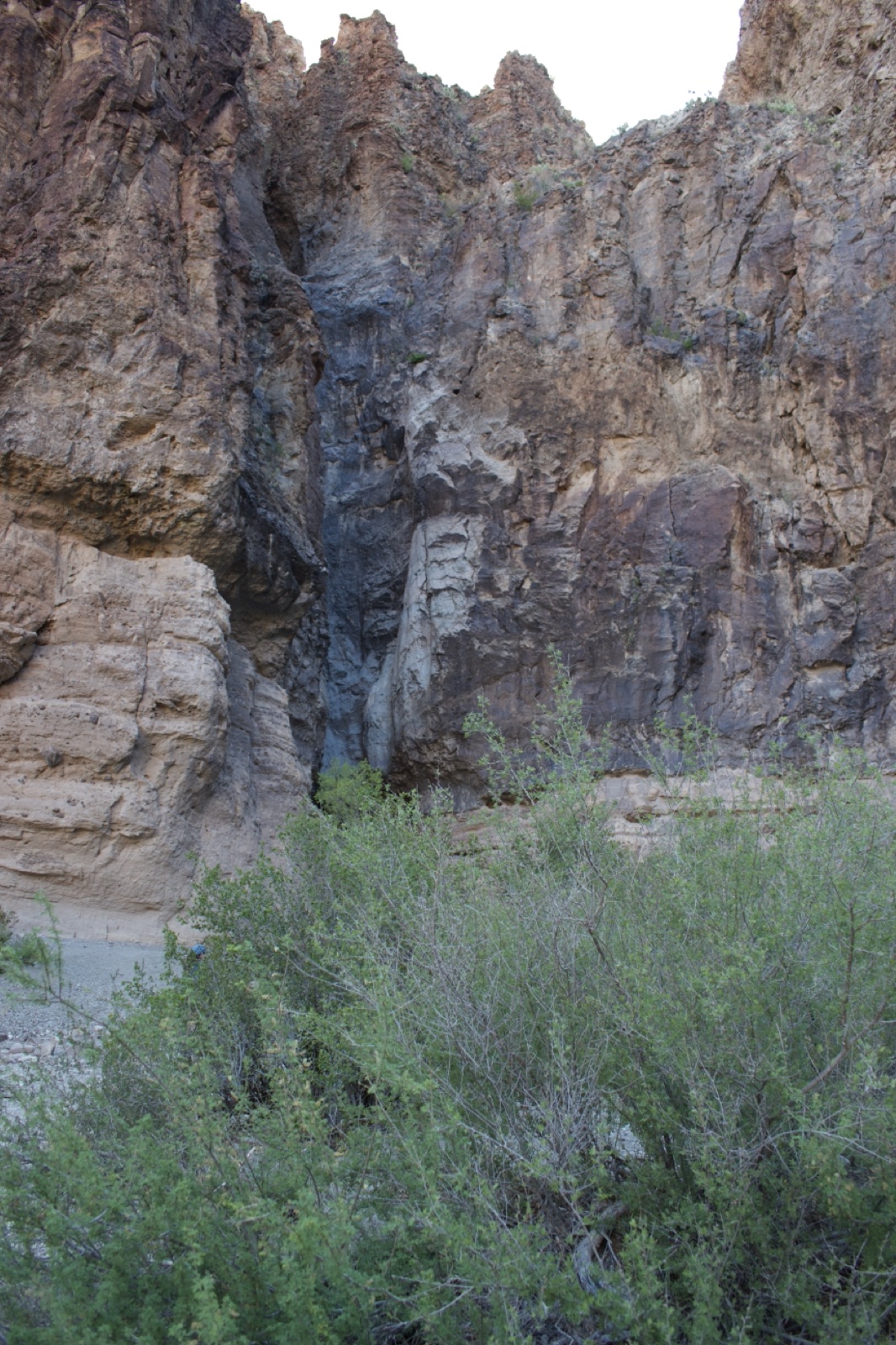 Rugged Canyon With Green Shrubbery