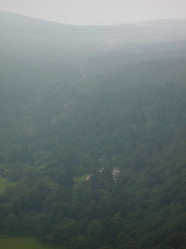 Misty Forested Valley View