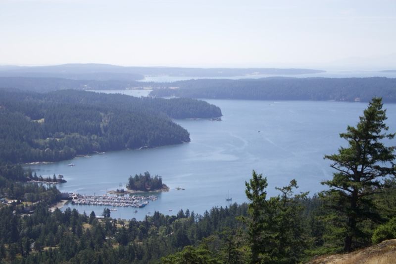 Aerial View of Forested Coastal Bay