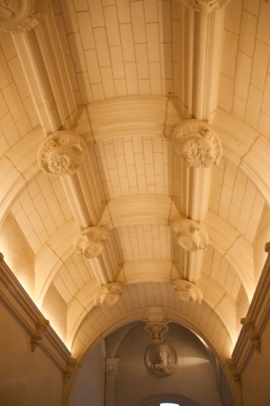 Ornate Vaulted Ceiling Interior