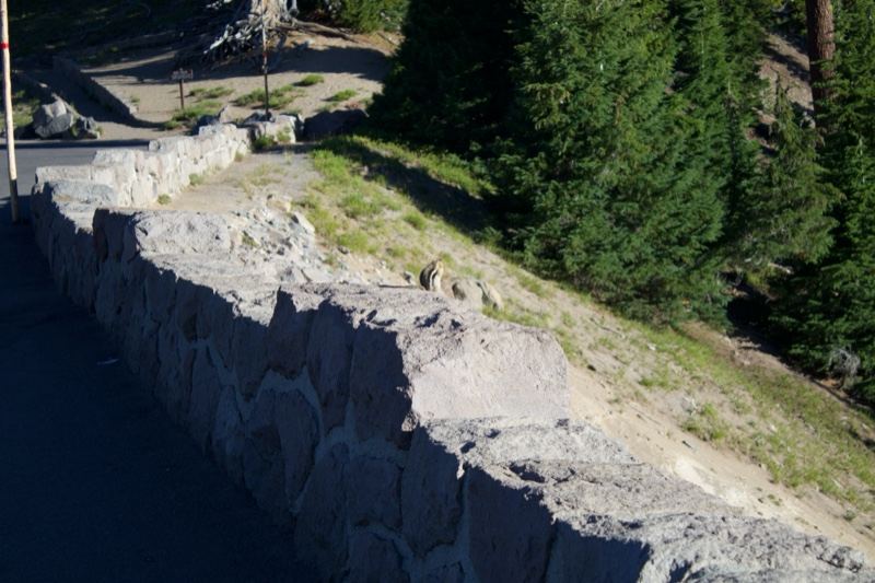 Stone Retaining Wall Beside Forest Road
