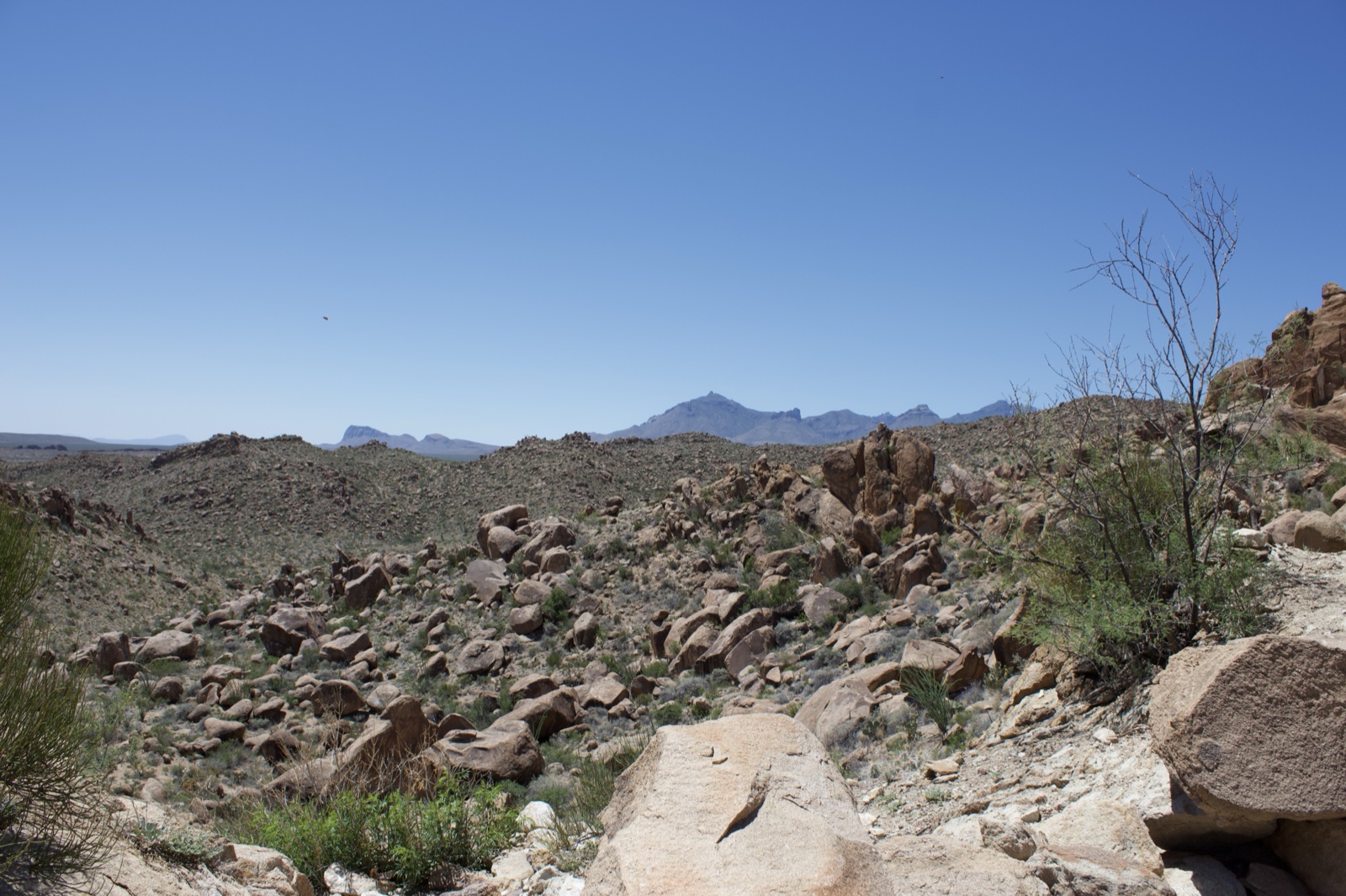 Arid Rocky Desert Landscape with Distant Mountains