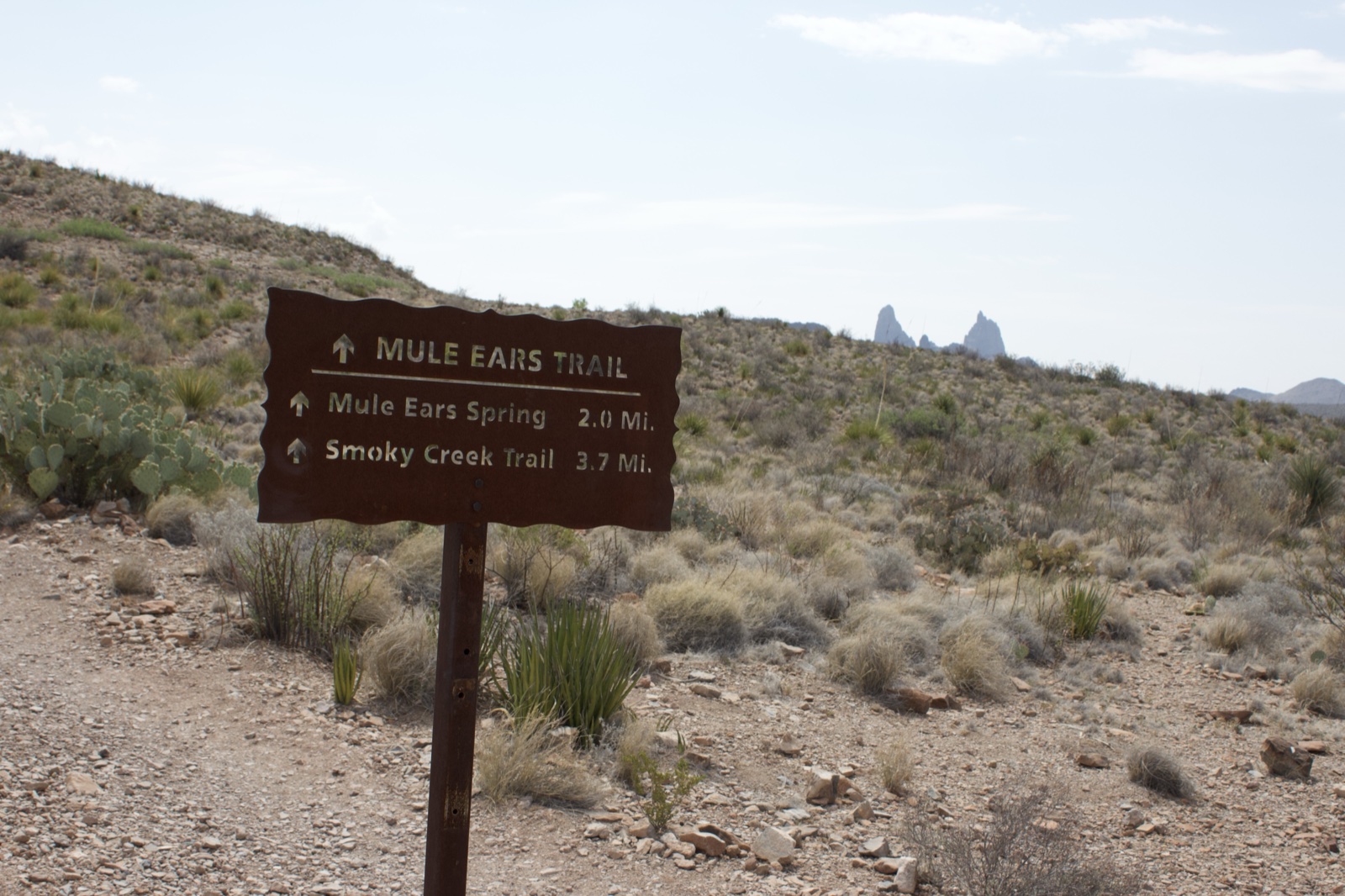 Mule Ears Trail Sign in Desert