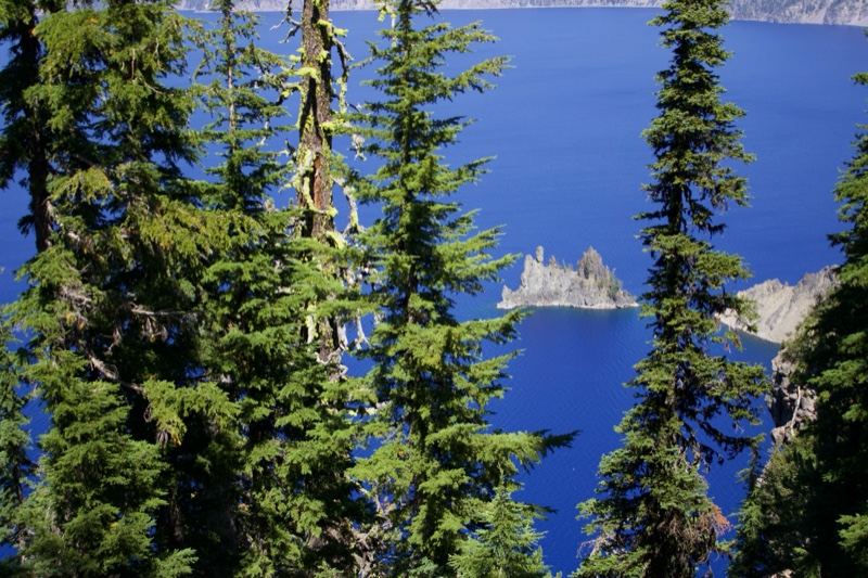 Crater Lake View Through Pine Trees