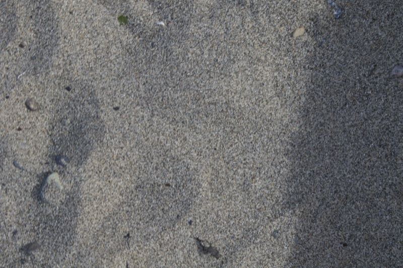 Beach Sand Texture with Footprint