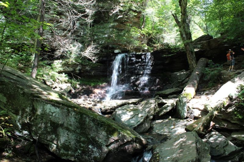 Forest Waterfall Cascading Over Rocks