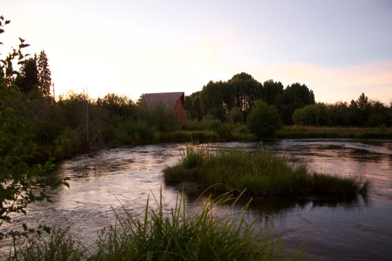 River at dusk with grass island