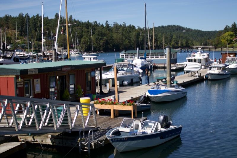 Marina Dock with Boats and Building