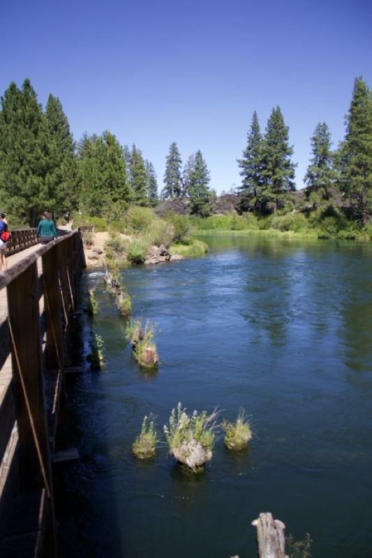 River Boardwalk Under Clear Blue Sky