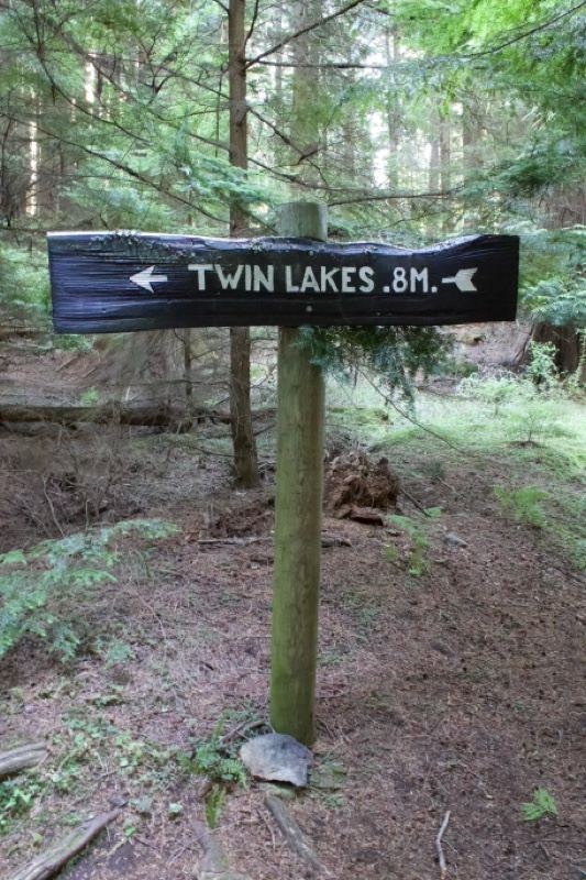 Twin Lakes Trail Sign in Forest